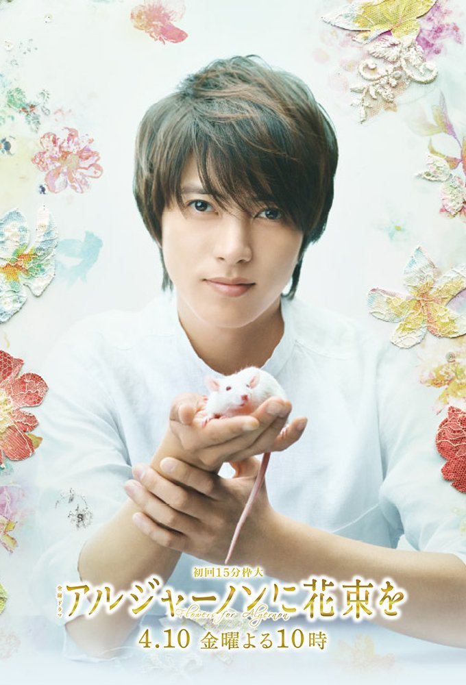 Цветы для Элджернона - главный постер