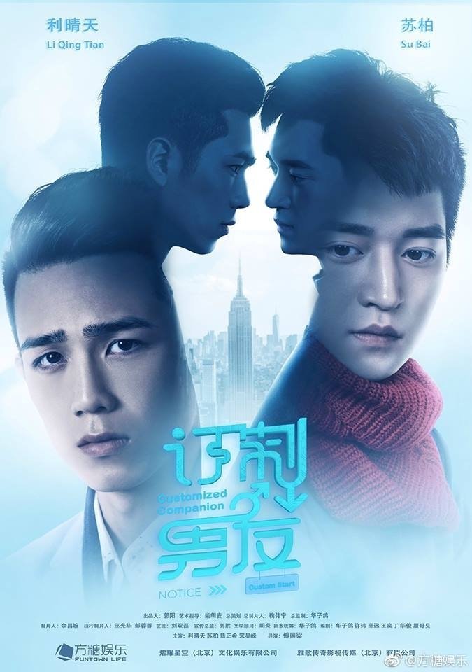 Индивидуальный компаньон - главный постер