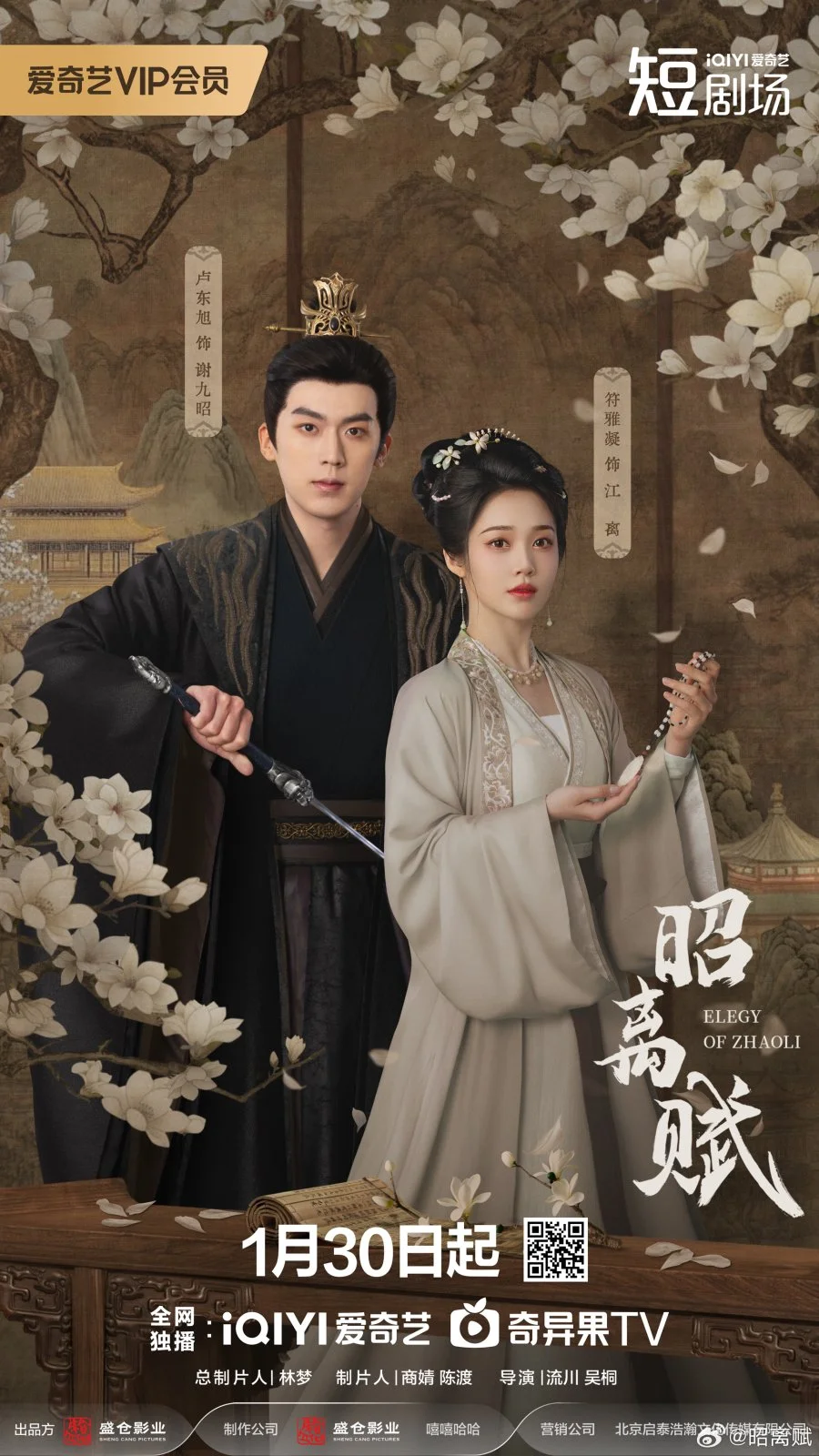 Ода утраченному свету - главный постер